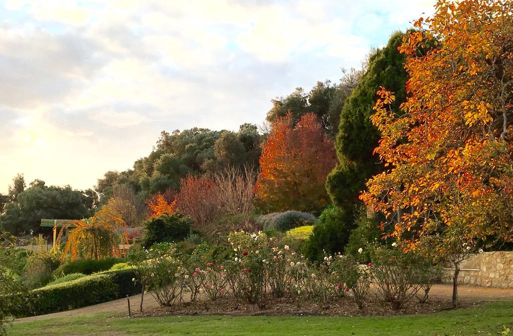The Garden Cottage At The Olives Yankalilla Bagian luar foto